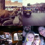 Saffy-blog-post-05 Saffy-blog-post-05