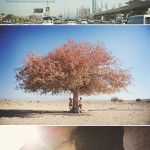 01-Letter-from-a-road-trip-Sharjah-to-Iran